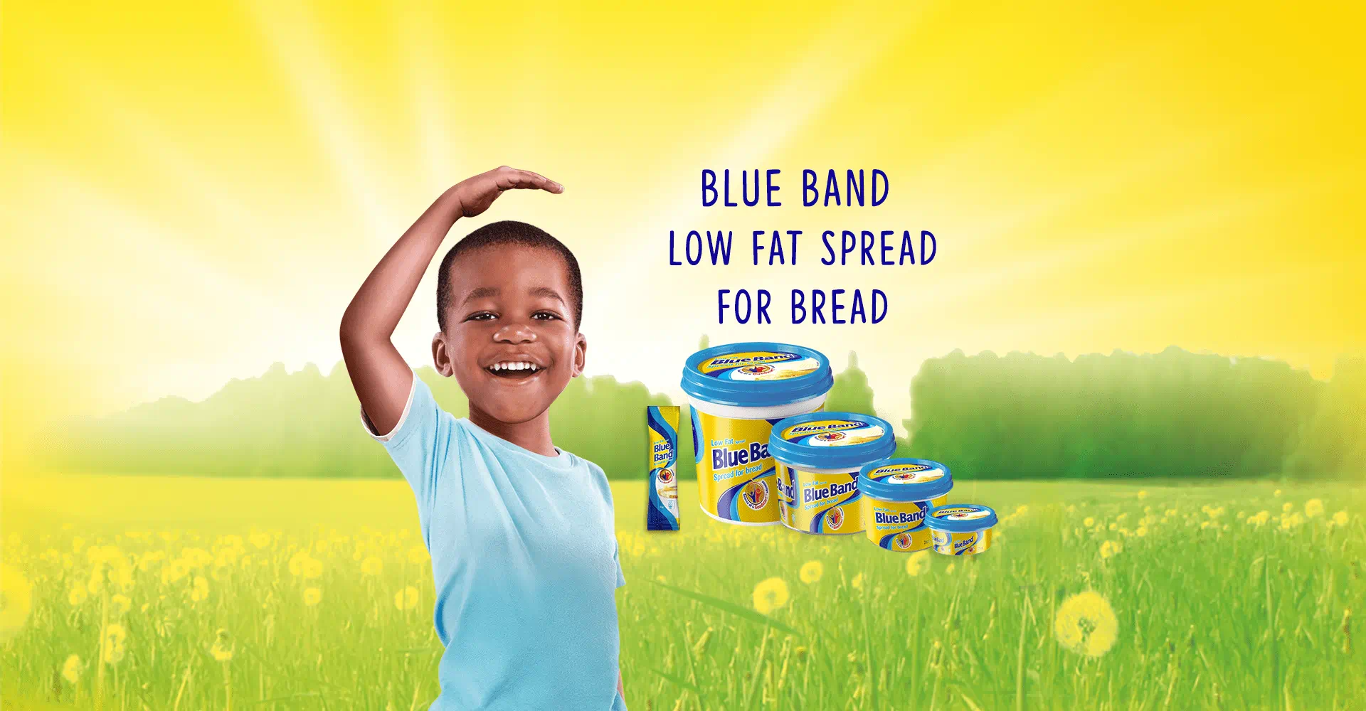Blue Band Low Fat Spread for Bread