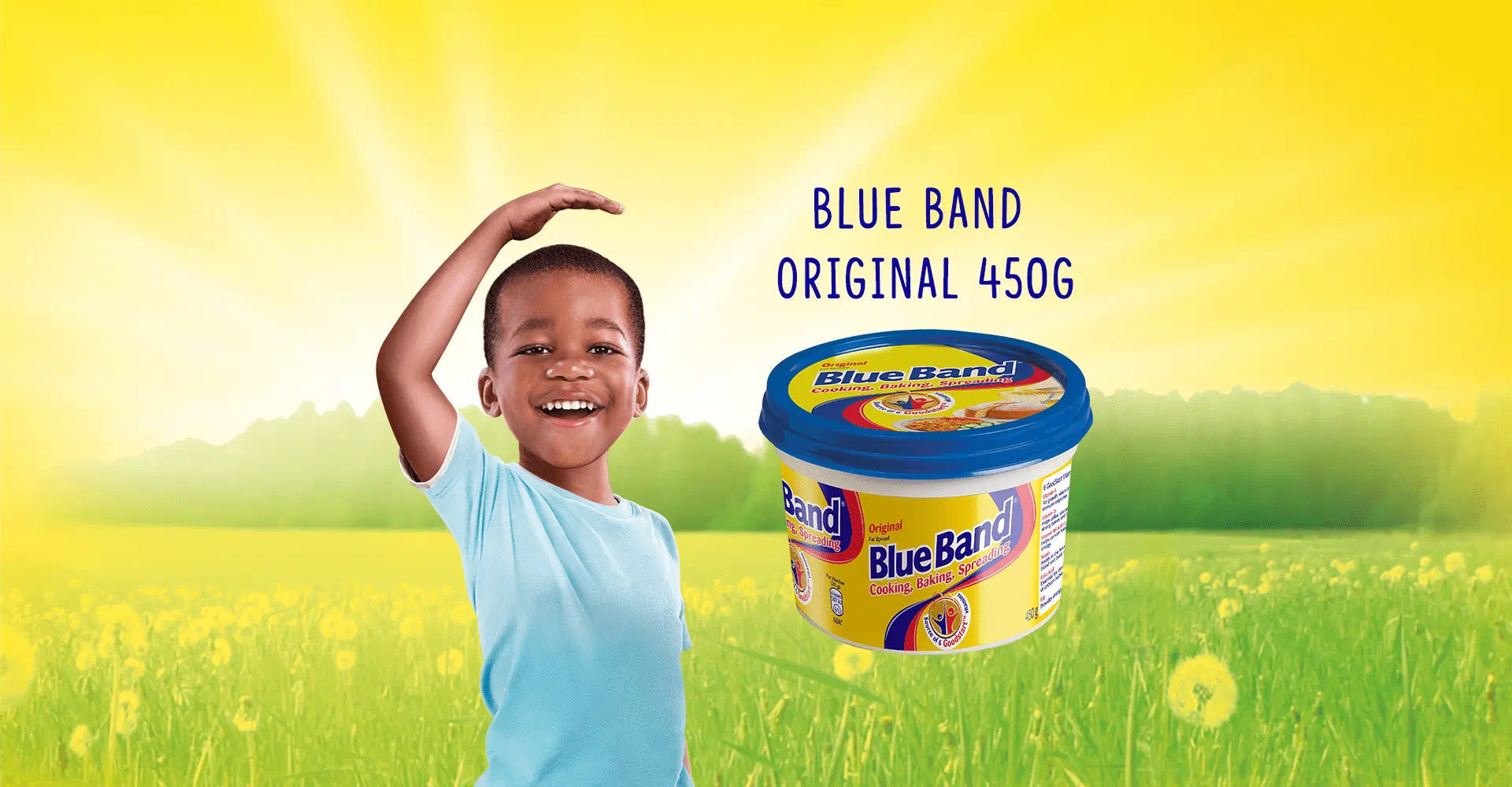 Blue Band Original 450g