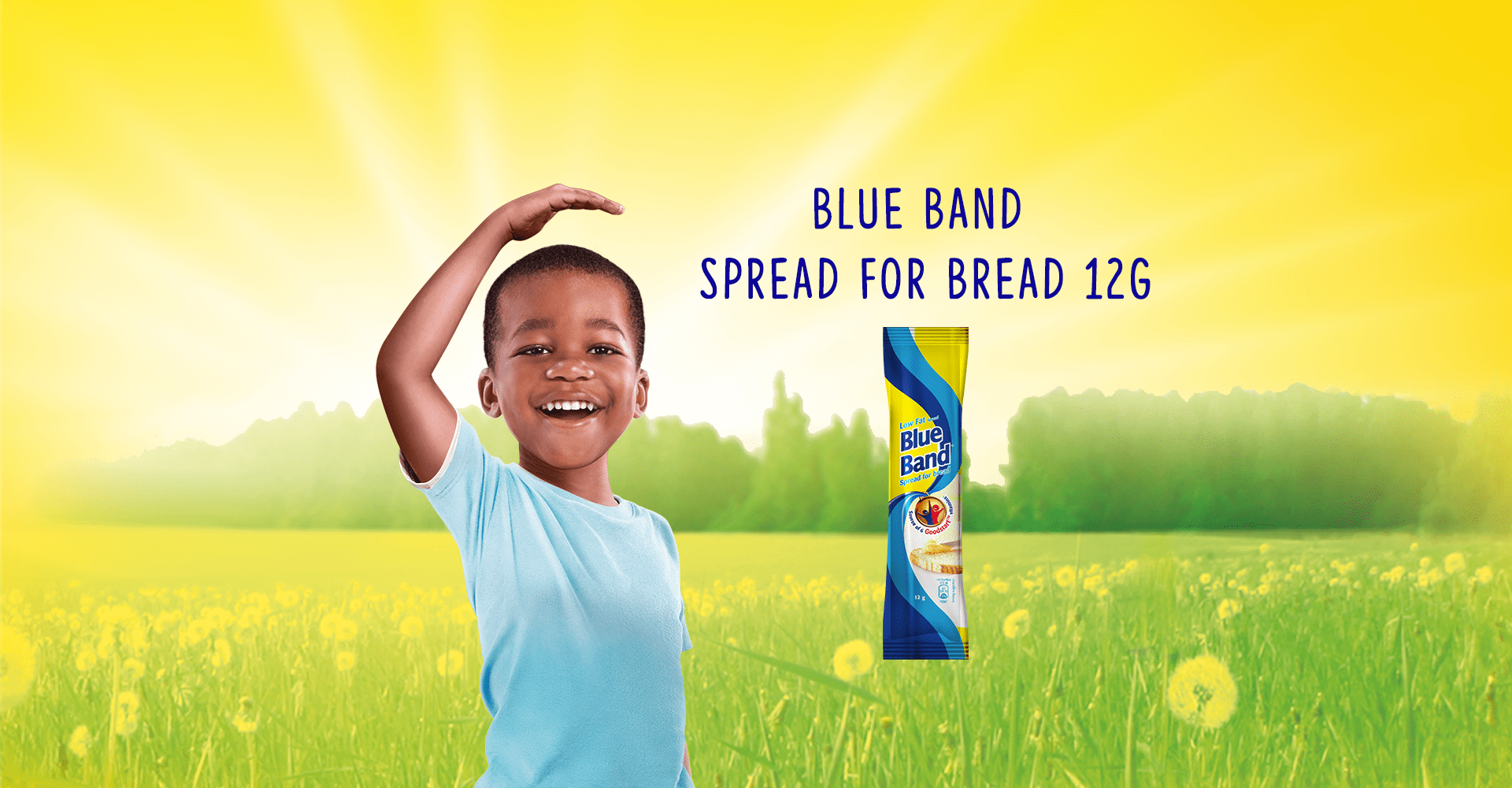 Blue Band Low-Fat Spread for Bread 12g
