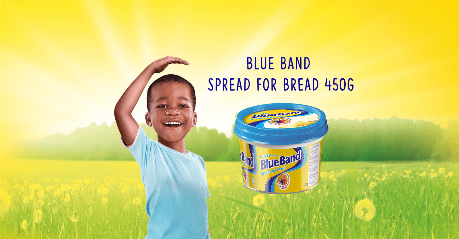 Blue Band LowFat Spread for Bread 450g BlueBand