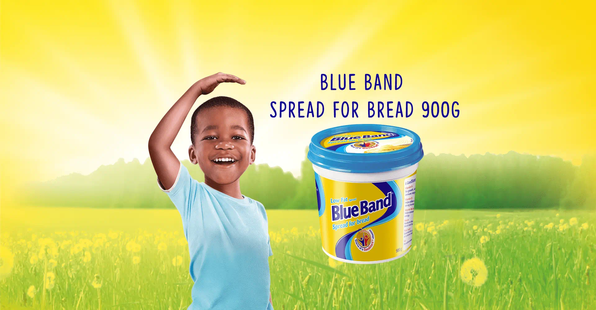 Blue Band Low-Fat Spread for Bread 900g