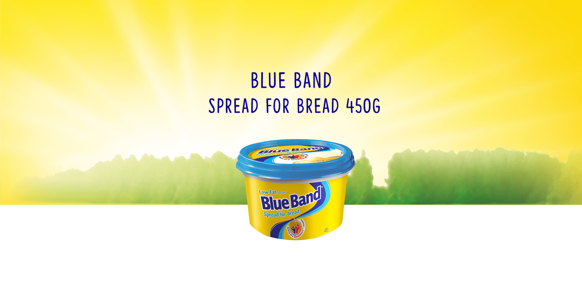 Blue Band Low Fat Spread for Bread BlueBand