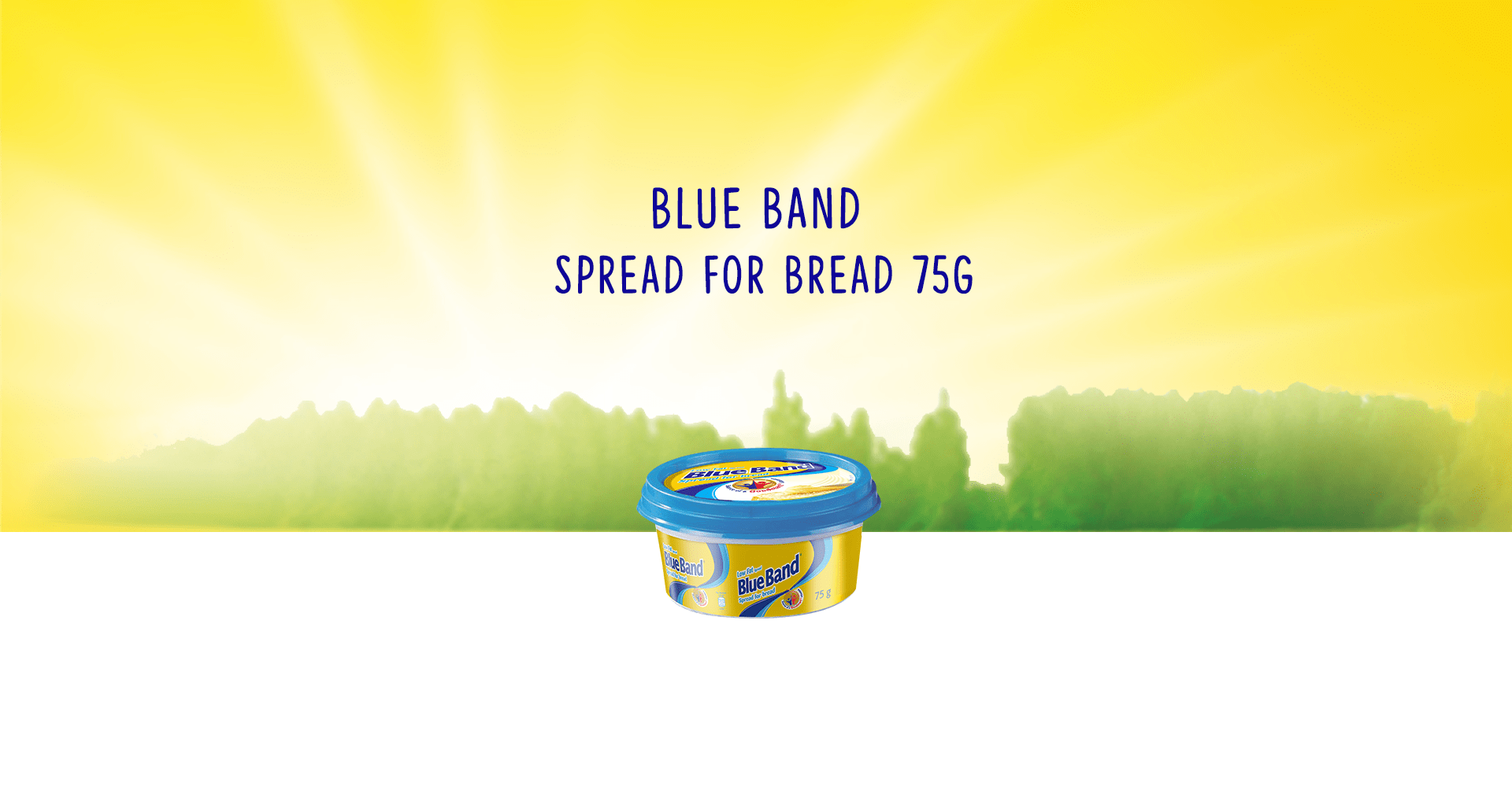 Blue Band Low Fat Spread for Bread BlueBand