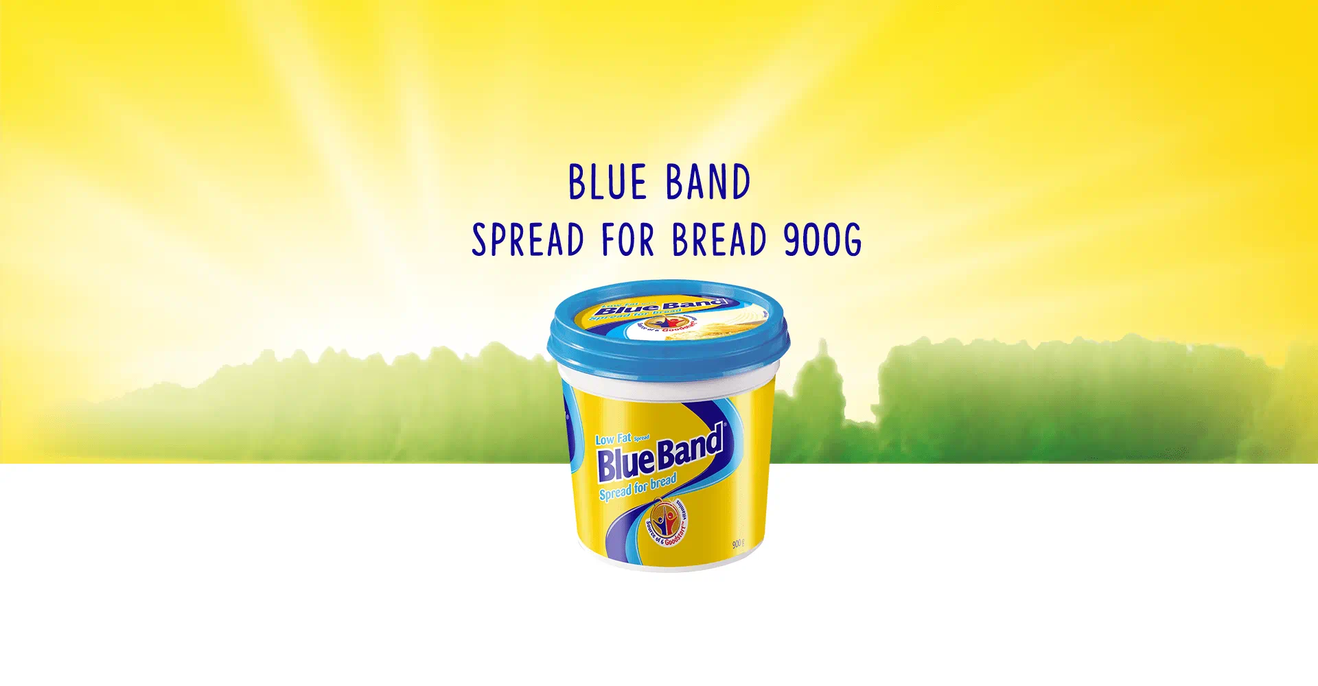 Blue Band Low Fat Spread for Bread