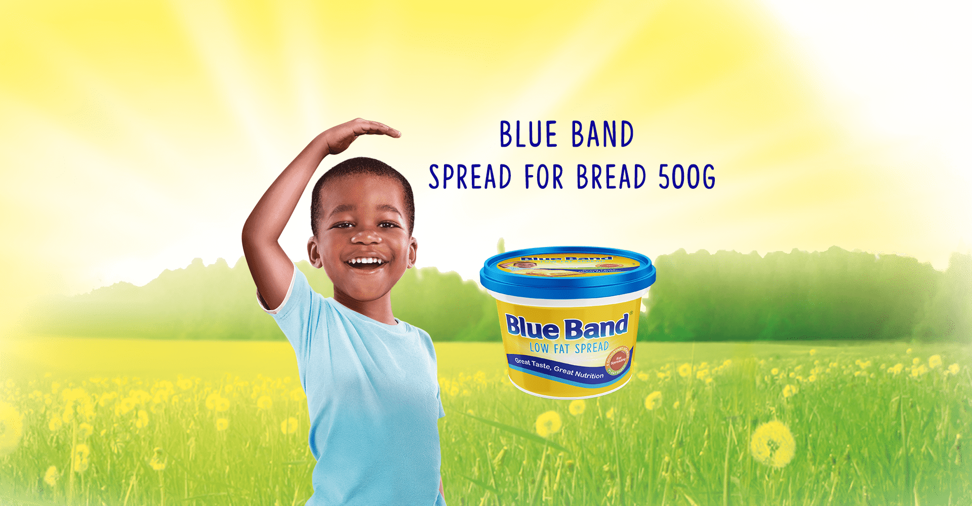 Blue Band Spread 250g
