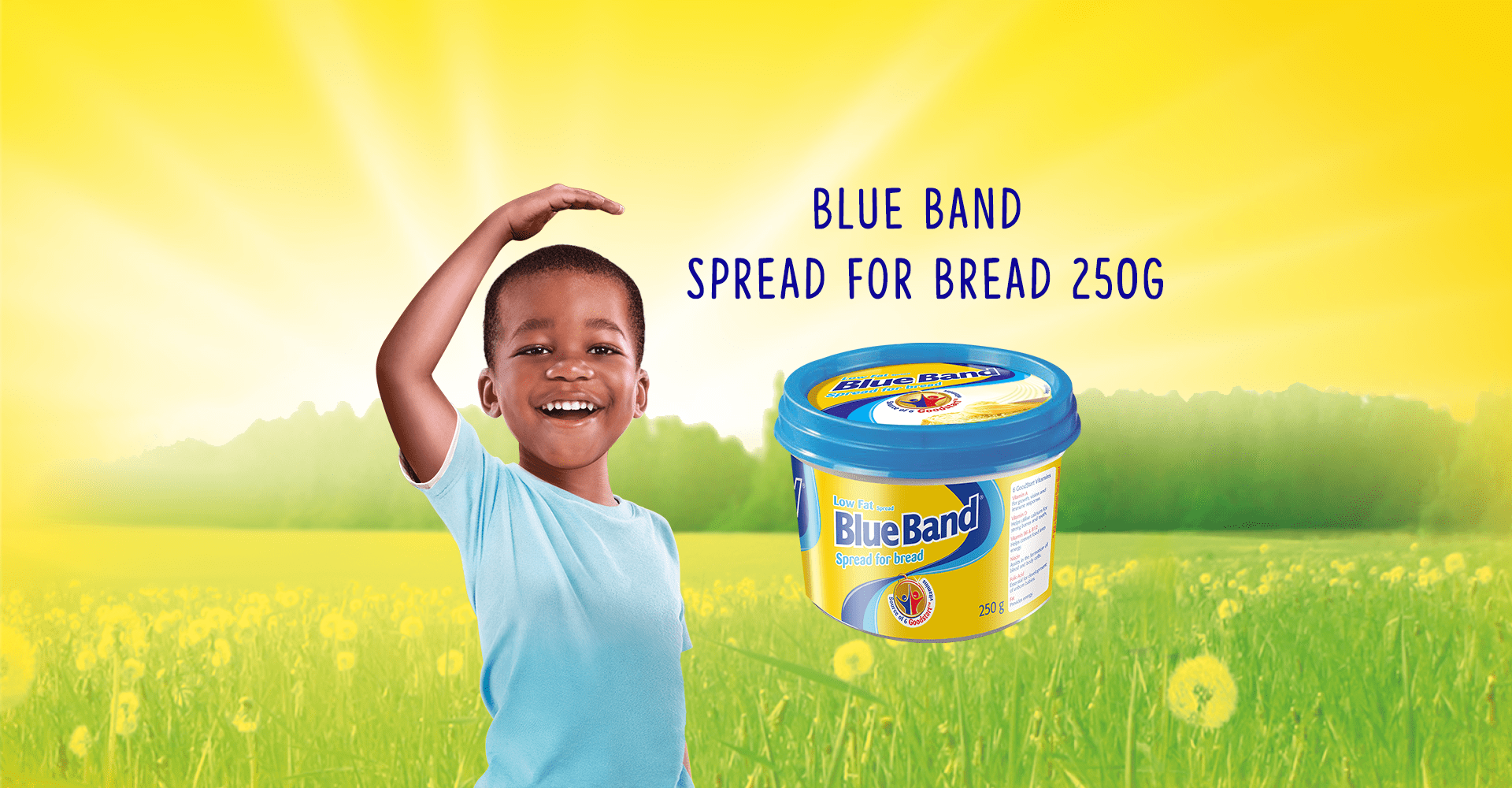 Blue Band Low-Fat Spread for Bread 250g