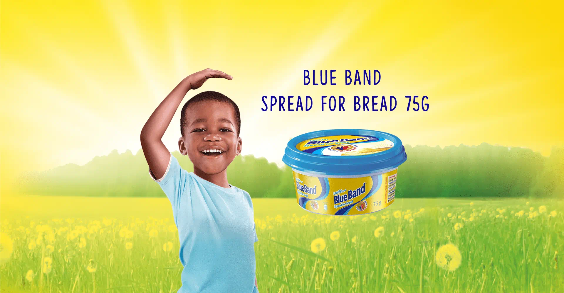 Blue Band Low-Fat Spread for Bread 75g
