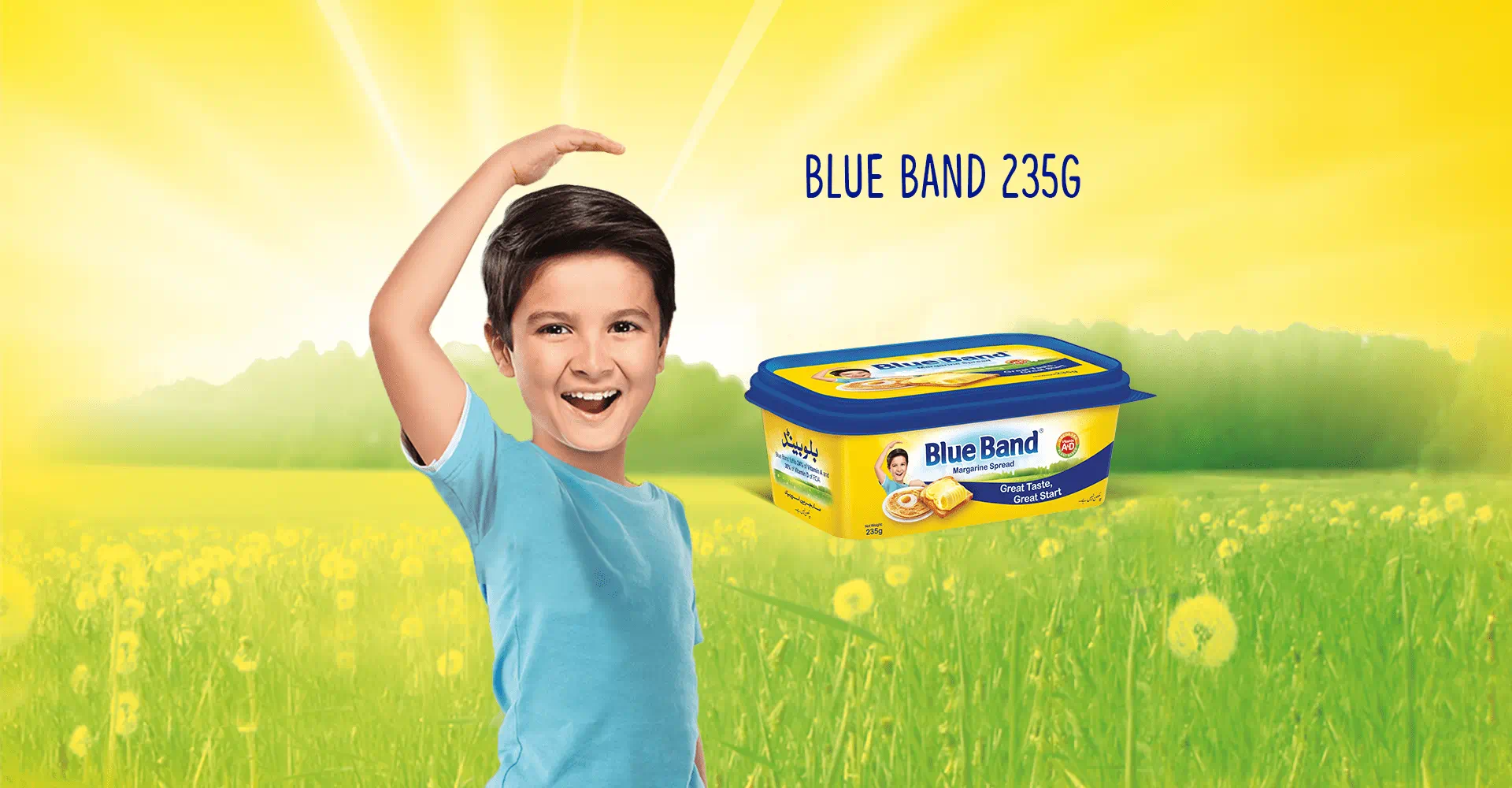 Product Page, Blue Band Margarine Spread 235gm