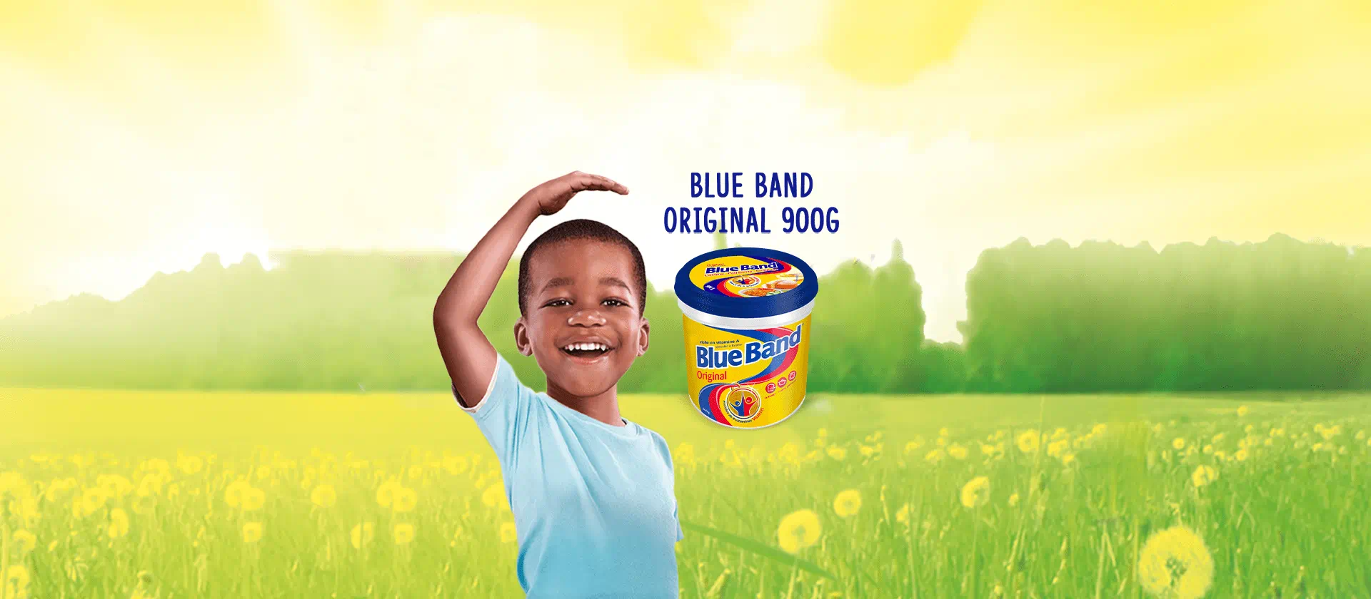 Blue Band Original 900g