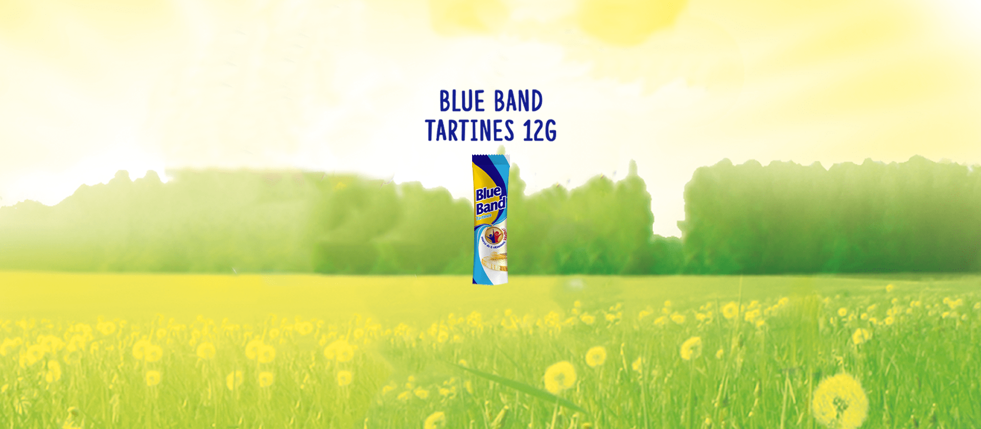 Blue Band Tartine 12g produit