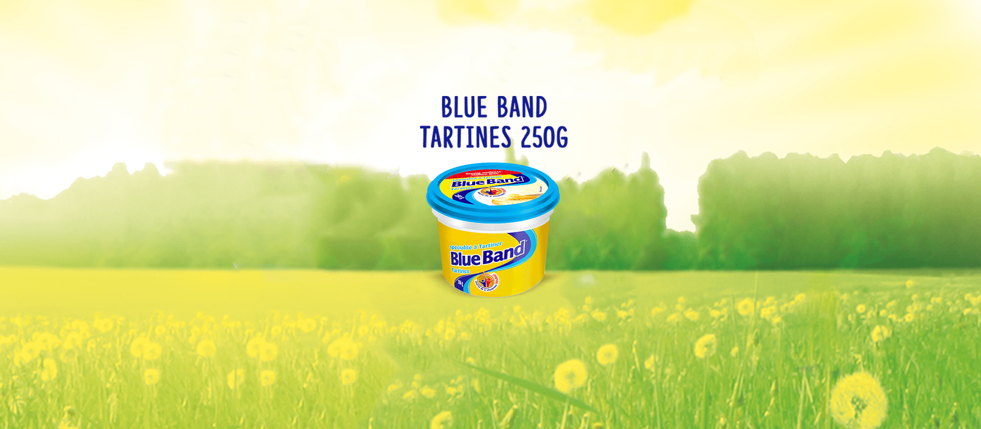 Blue Band Tartine 250g produit