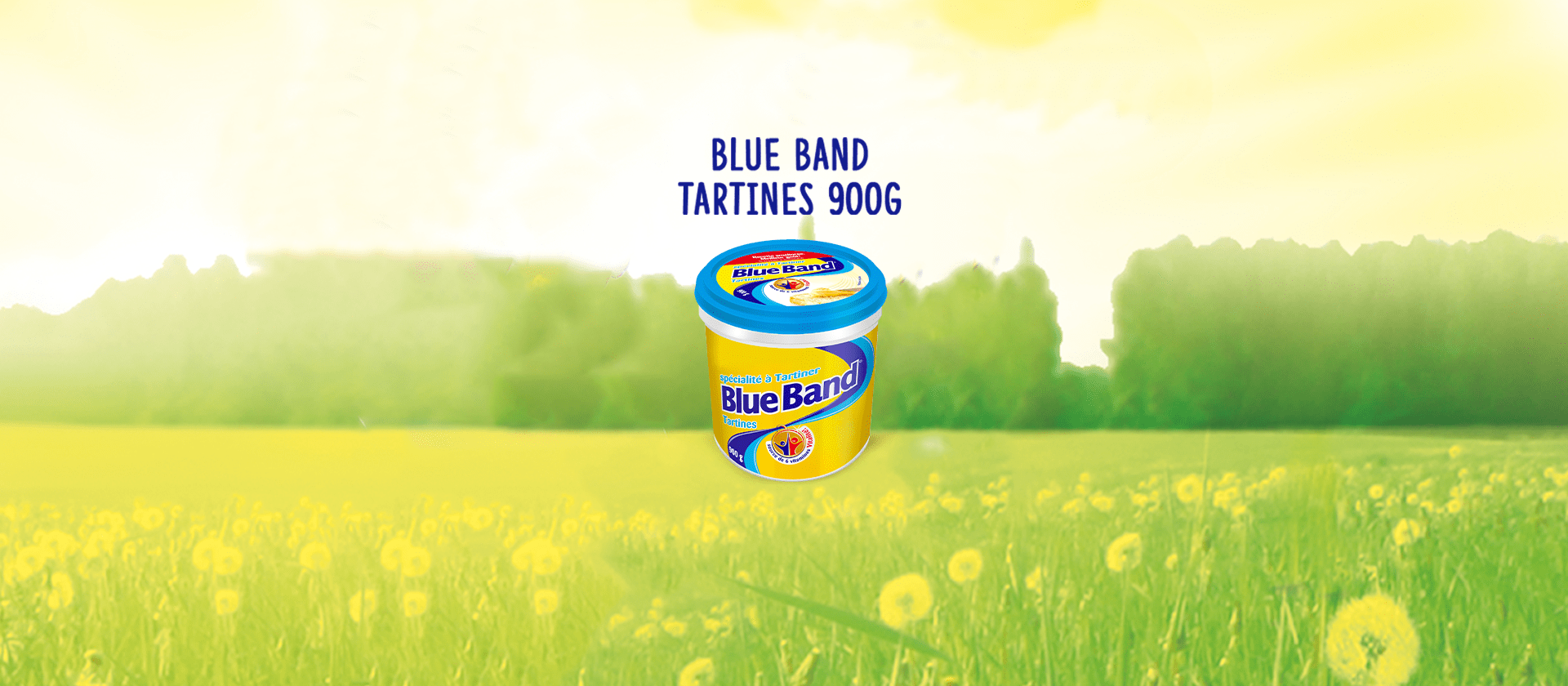 Blue Band Tartine 900g margarine
