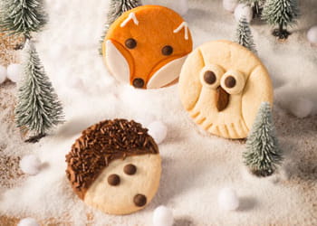 recipe image Koekjes met uiltjes